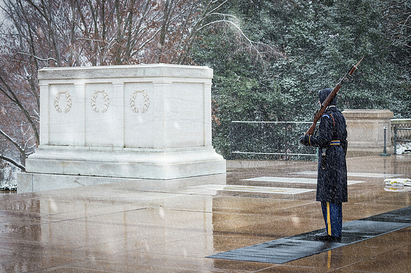 Virginia Snow by William Chizek Virginia Snow by William Chizek